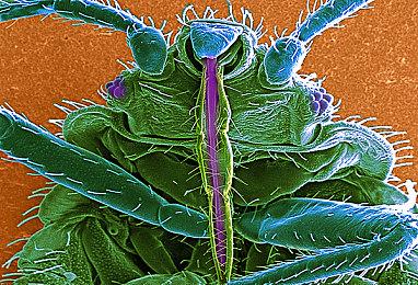 国家计算机病毒应急处理中心：多款游戏B服隐私不合规